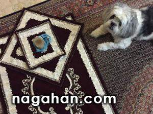 واکنش پرستو صالحی به عکس سجاده نماز در کنار سگ خانگی اش!