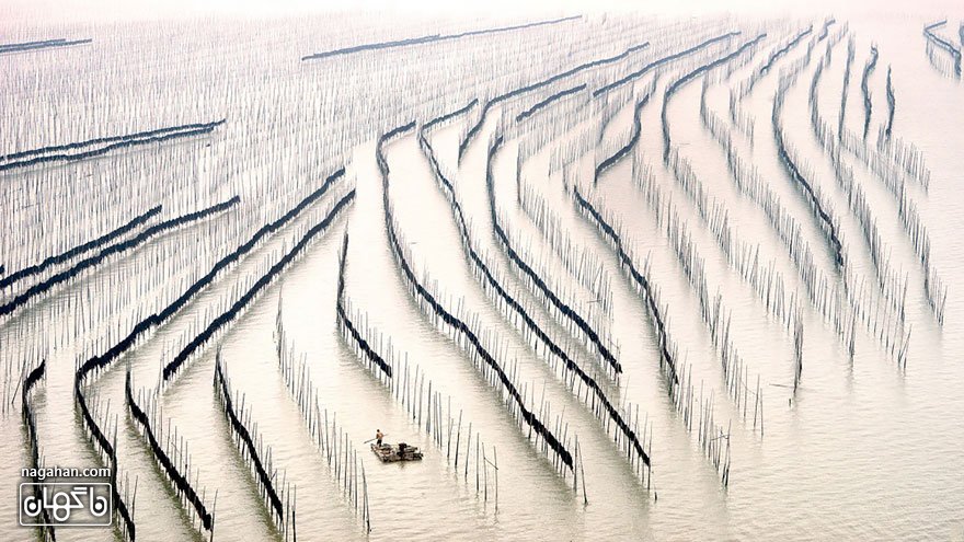 مزارع دریایی، استان فوجی یان