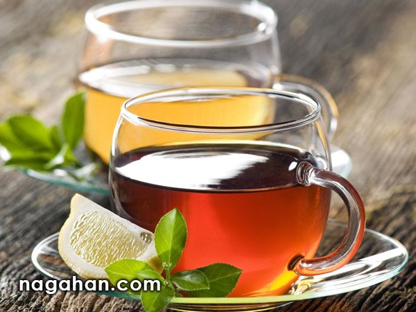 تولید چای رژیمی شیرین با قند طبیعی از گیاه استویا